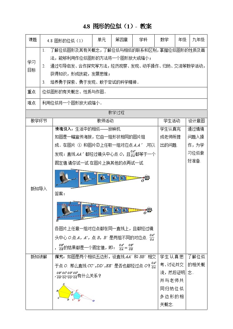 北师大版数学九年级上册 4.8 图形的位似第1课时 课件+导学案+教学设计+分层练习01