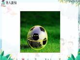 北師數(shù)學(xué)七年級上冊 1.1 生活中的立體圖形 【PPT課件】