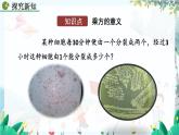 人教版数学七年级上册 2.3.1 有理数的乘方（第1课时） PPT课件+教案+习题