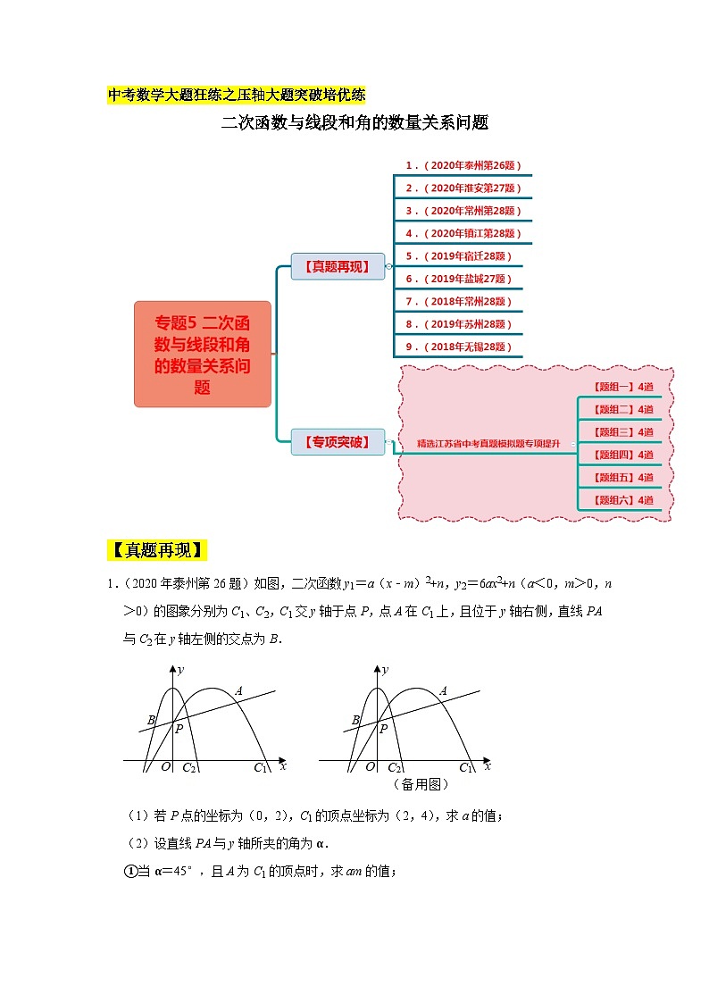 初中数学中考复习专题满分秘籍讲义练习二次函数与线段和角的数量关系问题 (2)第1页