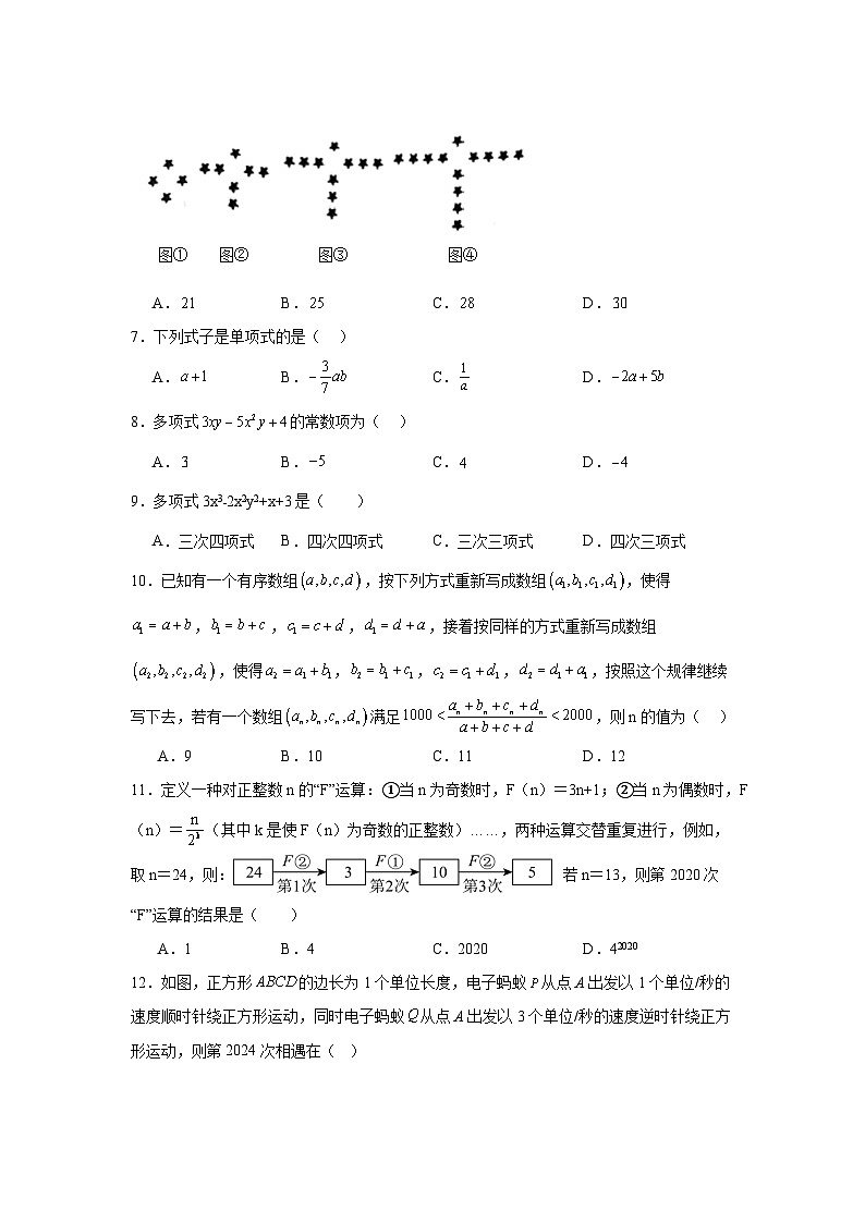 4.3整式同步练习  浙教版（2024）数学七年级上册02