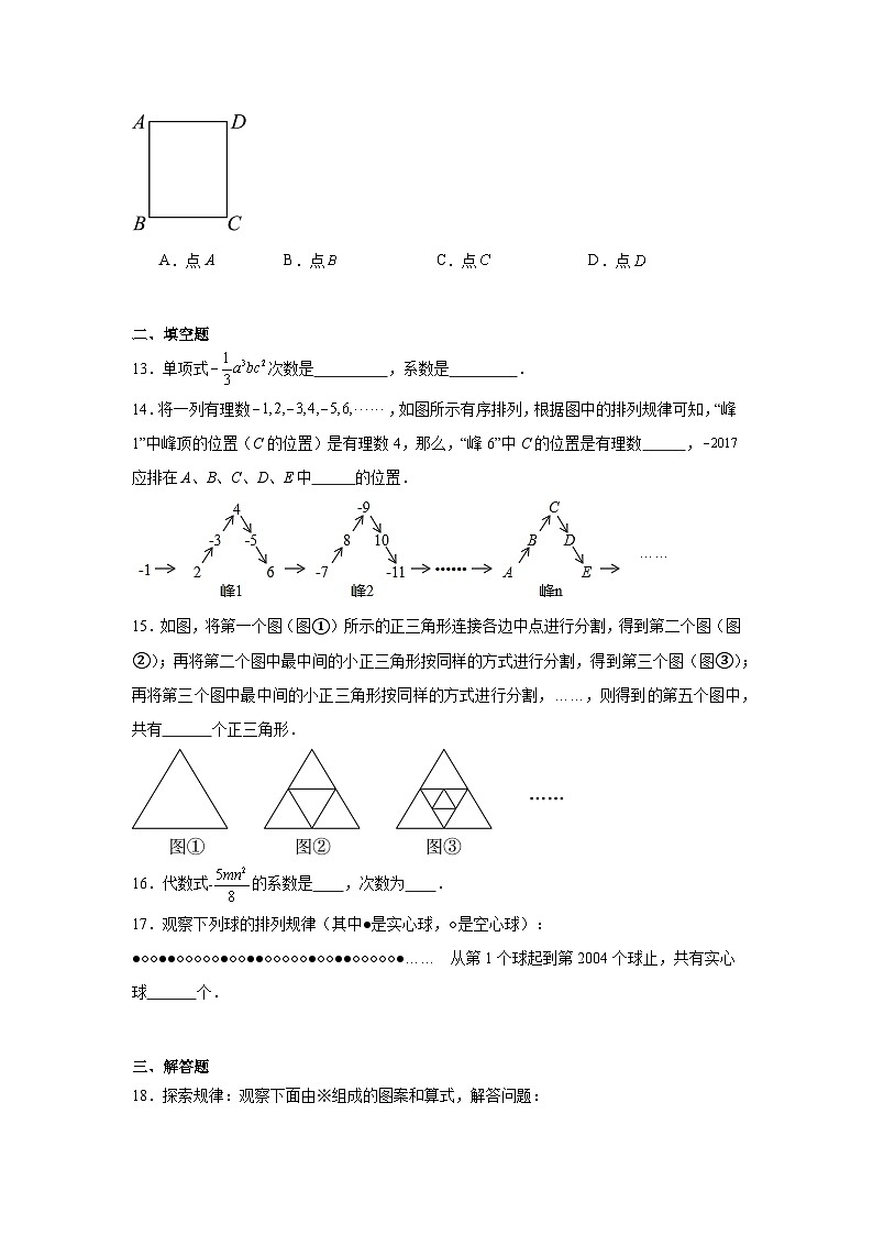 4.3整式同步练习  浙教版（2024）数学七年级上册03