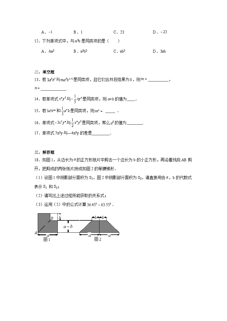 4.4合并同类项同步练习  浙教版（2024）数学七年级上册02