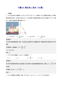 专题28 解直角三角形（58题）（教师卷+学生卷）- 2024年中考数学真题分类汇编（全国通用）