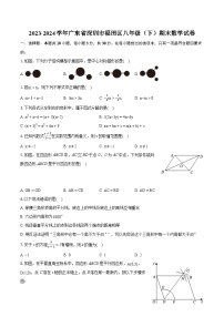 2023-2024学年广东省深圳市福田区八年级（下）期末数学试卷（含详细答案解析）