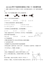 2023-2024学年广东省深圳市福田区八年级（下）期末数学试卷（含答案）