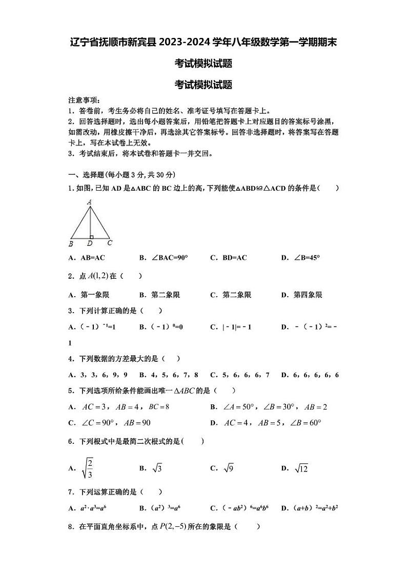 辽宁省抚顺市新宾县2023-2024学年八年级数学第一学期期末考试模拟试题【含解析】01