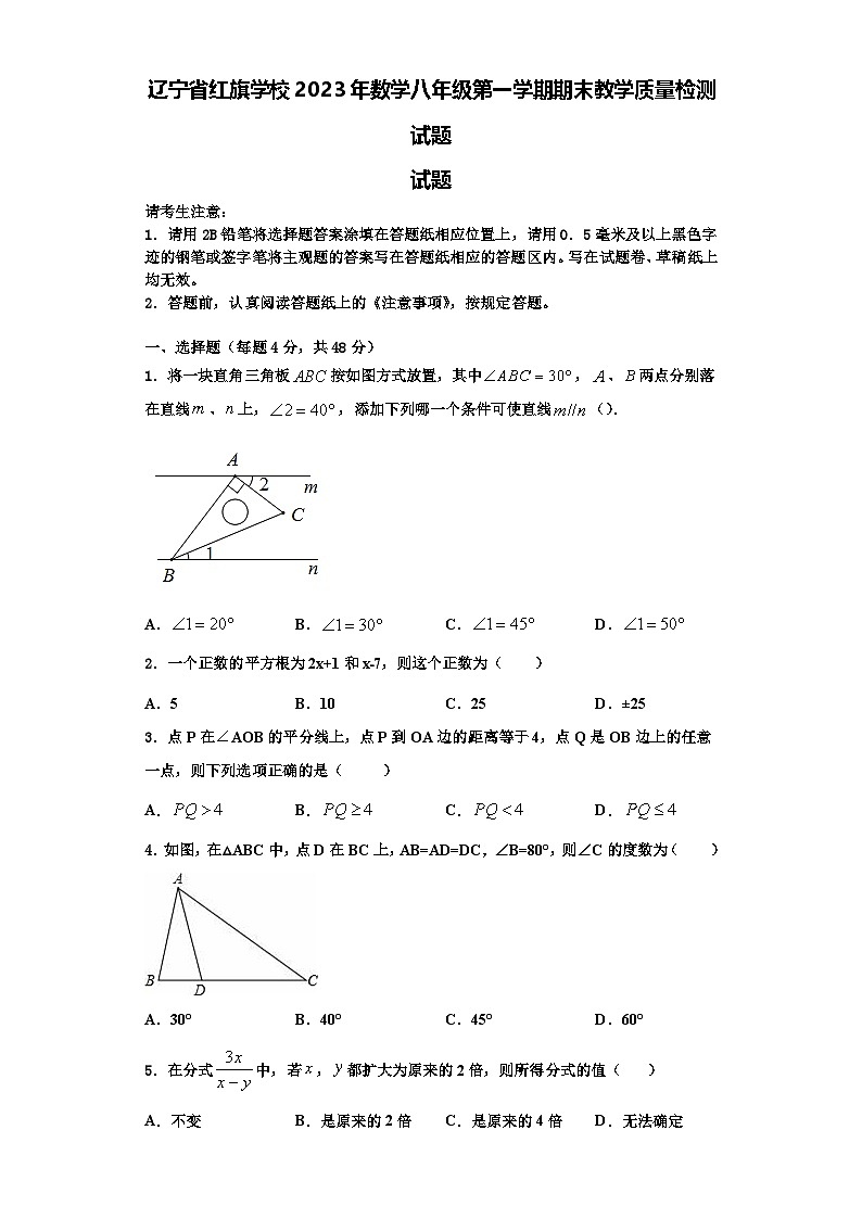 辽宁省红旗学校2023年数学八年级第一学期期末教学质量检测试题【含解析】01