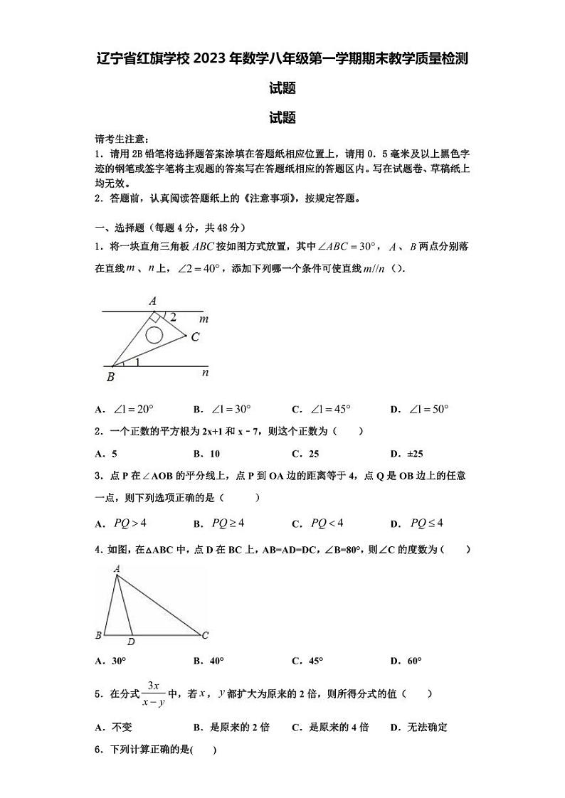 辽宁省红旗学校2023年数学八年级第一学期期末教学质量检测试题【含解析】01