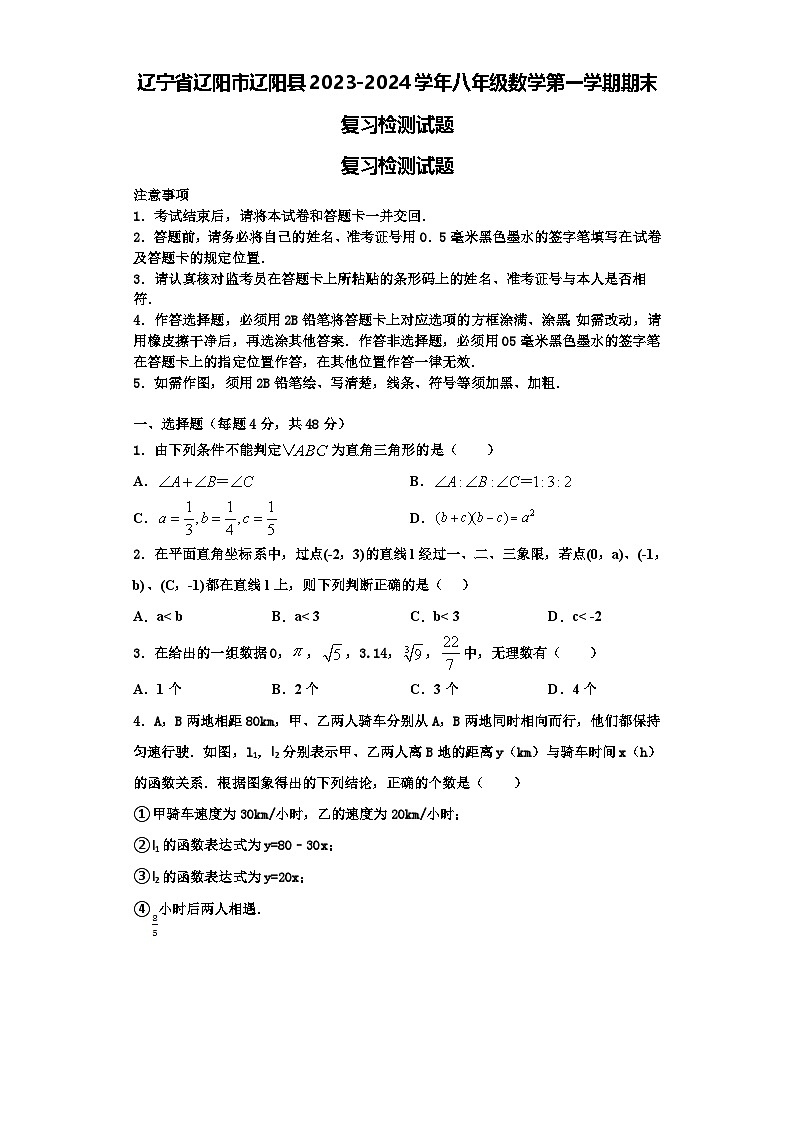 辽宁省辽阳市辽阳县2023-2024学年八年级数学第一学期期末复习检测试题【含解析】第1页