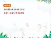北师【2024版】七上数学 第3章  3.3.2 数字游戏 PPT课件
