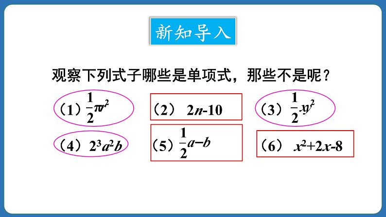 4.1 整式 第2课时 课件 2024--2025学年人教版七年级数学上册03