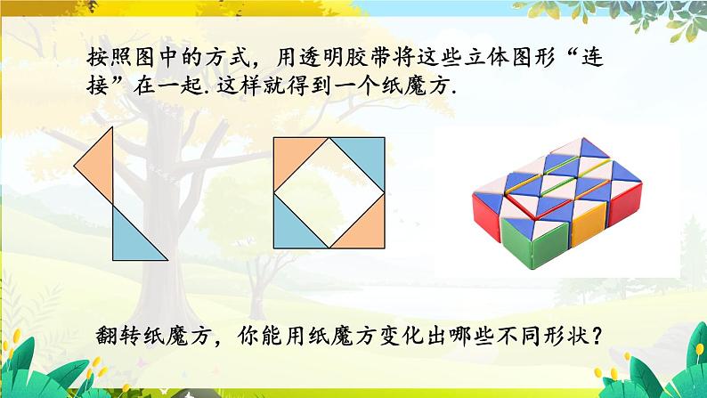 数学活动第5页