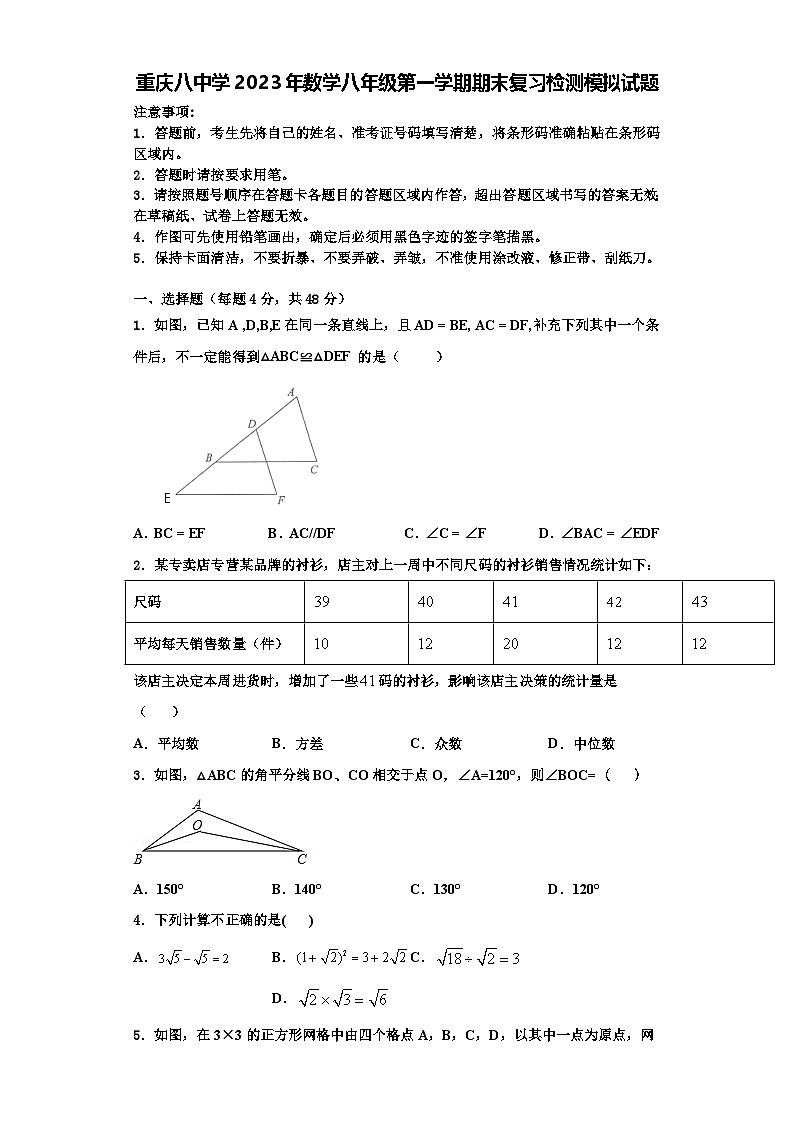 重庆八中学2023年数学八年级第一学期期末复习检测模拟试题【含解析】01