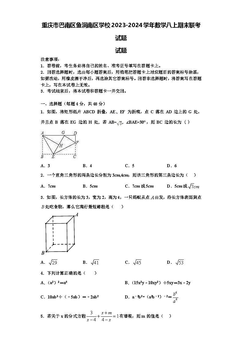 重庆市巴南区鱼洞南区学校2023-2024学年数学八上期末联考试题【含解析】01
