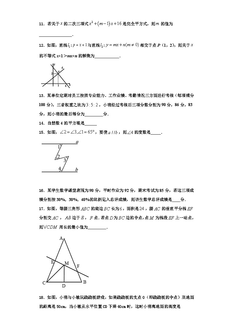 重庆市巴蜀中学2023-2024学年数学八年级第一学期期末调研试题【含解析】03
