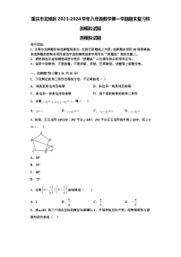 重庆市北碚区2023-2024学年八年级数学第一学期期末复习检测模拟试题【含解析】