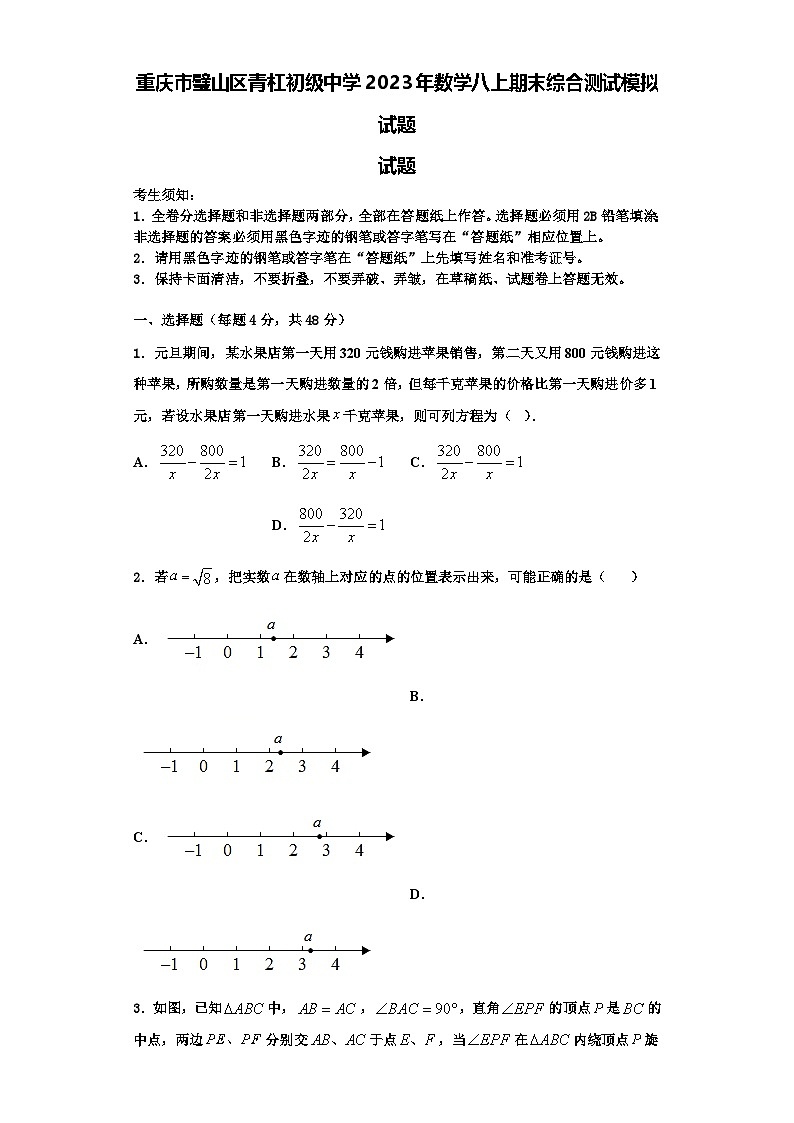 重庆市璧山区青杠初级中学2023年数学八上期末综合测试模拟试题【含解析】第1页