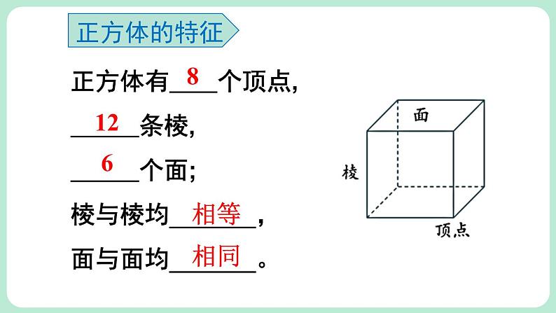 1.2 从立体图形到平面图形 第1课时 课件-2024-2025学年北师大版数学七年级上册03