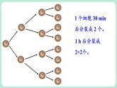 2.4 有理數(shù)的乘方 第1課時(shí) 課件-2024-2025學(xué)年北師大版數(shù)學(xué)七年級(jí)上冊(cè)