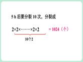 2.4 有理數(shù)的乘方 第1課時(shí) 課件-2024-2025學(xué)年北師大版數(shù)學(xué)七年級(jí)上冊(cè)