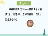 【核心素养】北师大版（2024）数学七年级上册 2.4第1课时 有理数的乘方 课件