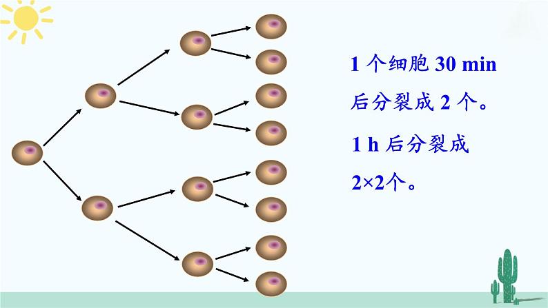 【核心素养】北师大版（2024）数学七年级上册 2.4第1课时 有理数的乘方 课件03