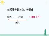 【核心素养】北师大版（2024）数学七年级上册 2.4第1课时 有理数的乘方 课件