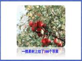 1.7 近似数  课件-2024-2025学年沪科版数学七年级上册