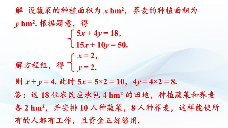 3.5 二元一次方程组的应用 第3课时 课件-2024-2025学年沪科版数学七年级上册04