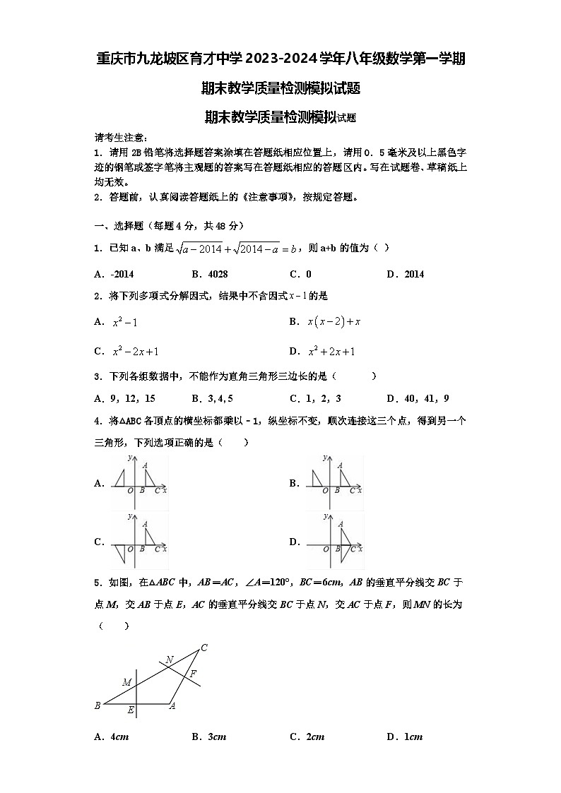 重庆市九龙坡区育才中学2023-2024学年八年级数学第一学期期末教学质量检测模拟试题【含解析】01