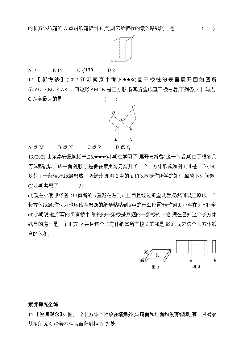 7.2 直棱柱的侧面展开图课时练（含解析）青岛版数学九年级下册第3页