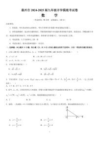 广东省惠州市培英学校2024-2025学年九年级上学期+开学数学模拟试题