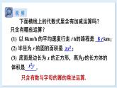 2.3 整式的概念 第1课时 整式 课件 2024-2025学年湘教版七年级数学上册