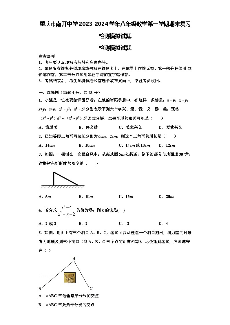 重庆市南开中学2023-2024学年八年级数学第一学期期末复习检测模拟试题【含解析】01
