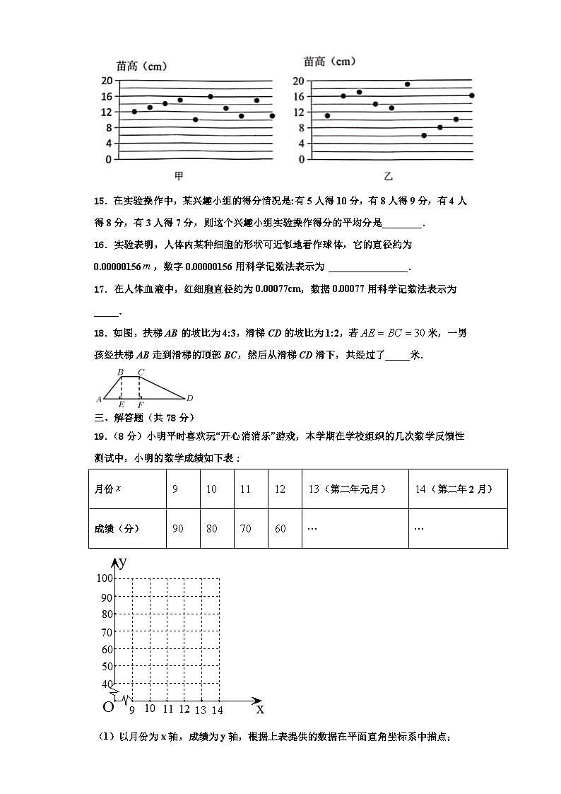 重庆市南开中学2023年八年级数学第一学期期末统考模拟试题【含解析】03