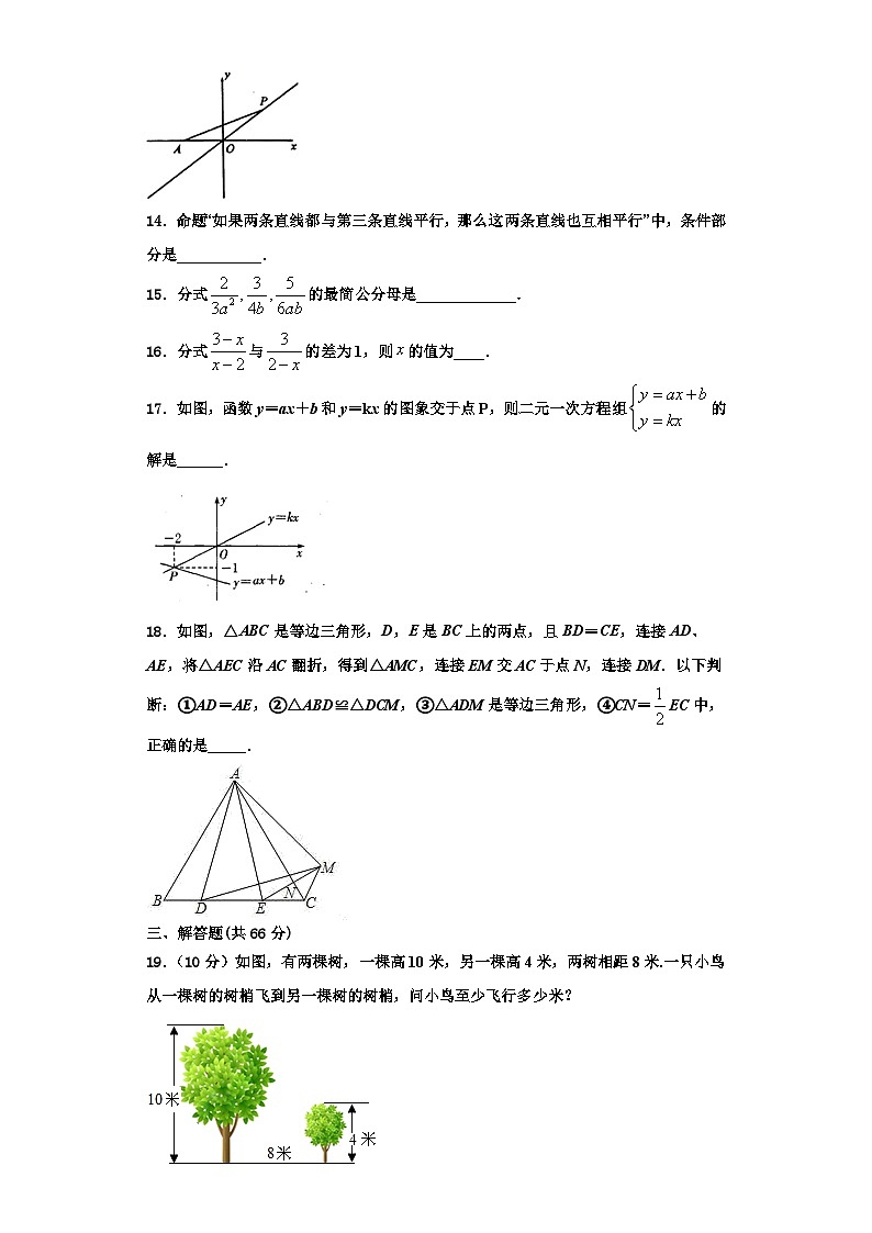 重庆市綦江中学2023年数学八年级第一学期期末学业质量监测试题【含解析】第3页