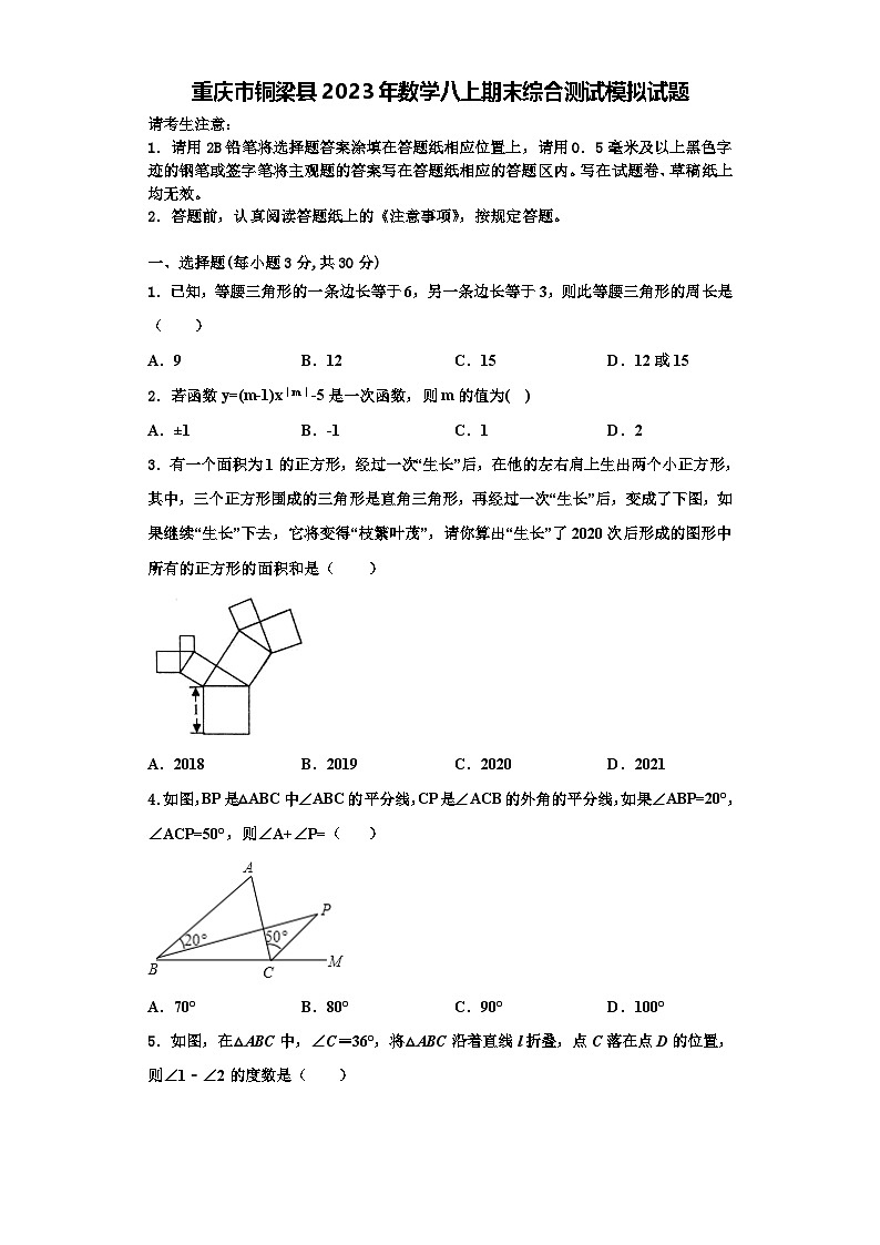 重庆市铜梁县2023年数学八上期末综合测试模拟试题【含解析】第1页