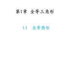 1.1 全等圖形 蘇科版數(shù)學八年級上冊教學課件