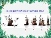1.2 从三个方向看物体的形状 北师大版数学七年级上册课件5