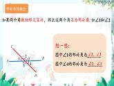 华师2024版数学七年级上册 第4章 4.1.1 对顶角 PPT课件