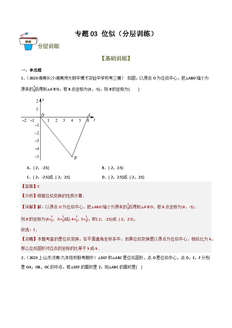 专题03 位似（分层训练）-2024年中考数学总复习重难考点强化训练（全国通用）01