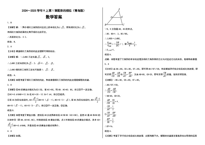 2024～2025学年9上第1章图形的相似（青岛版）（问卷+答题卡+答案）-2024-2025学年9上数学单元检测(青岛版2024)01