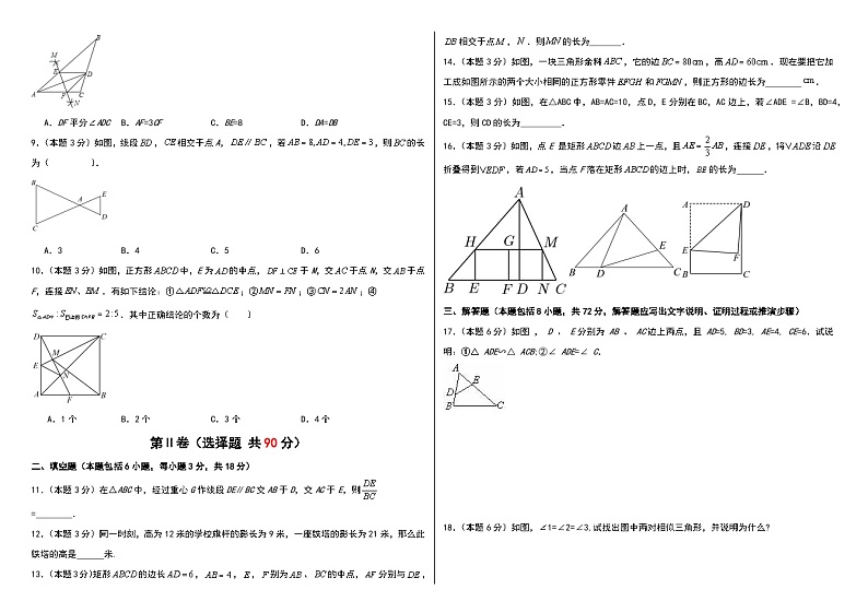 2024～2025学年9上第1章图形的相似（青岛版）（问卷+答题卡+答案）-2024-2025学年9上数学单元检测(青岛版2024)02