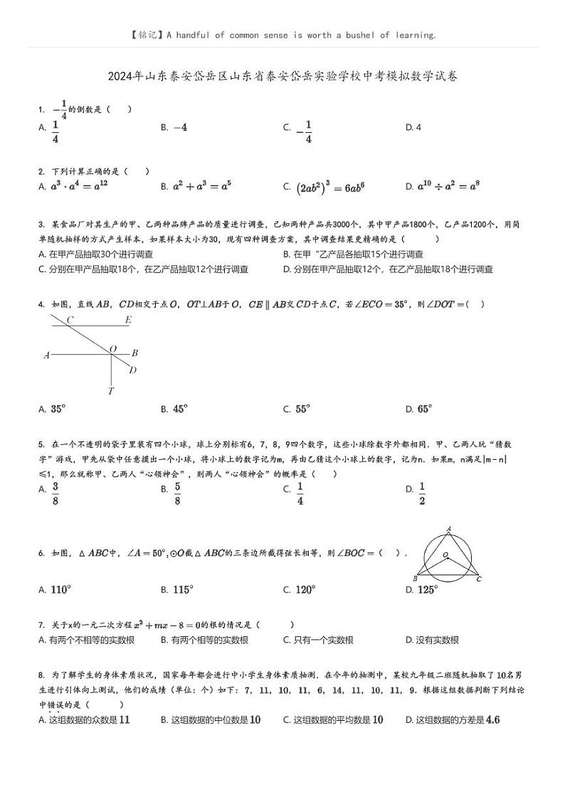 [数学]2024年山东泰安岱岳区山东省泰安岱岳实验学校中考模拟数学试卷原题版第1页