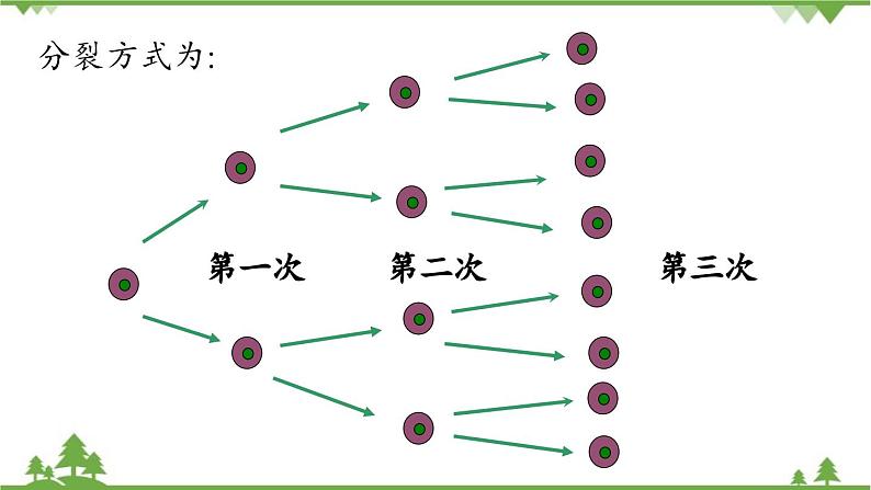 2.3 有理数的乘方课时1 人教版数学七年级上册课件06