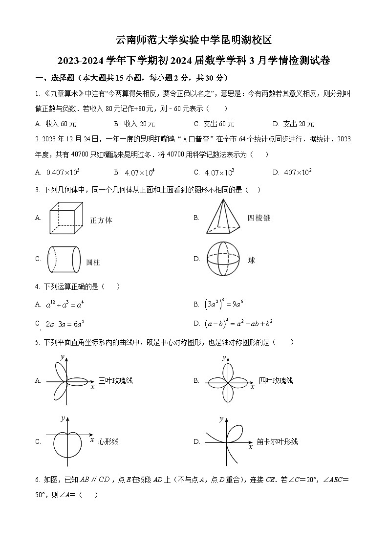 云南省云南师范大学实验中学昆明湖校区2023-2024学年九年级下学期数学开学考试试题（原卷版+解析版）01