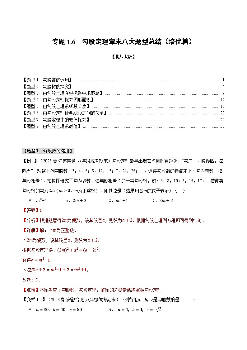 专题1.6 勾股定理章末八大题型总结（培优篇）-2024-2025学年八年级数学上册举一反三系列（北师大版）01