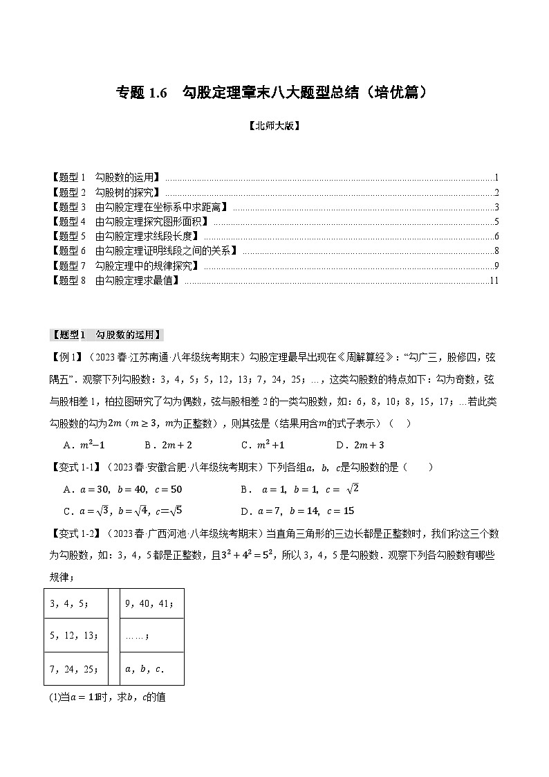 专题1.6 勾股定理章末八大题型总结（培优篇）-2024-2025学年八年级数学上册举一反三系列（北师大版）01