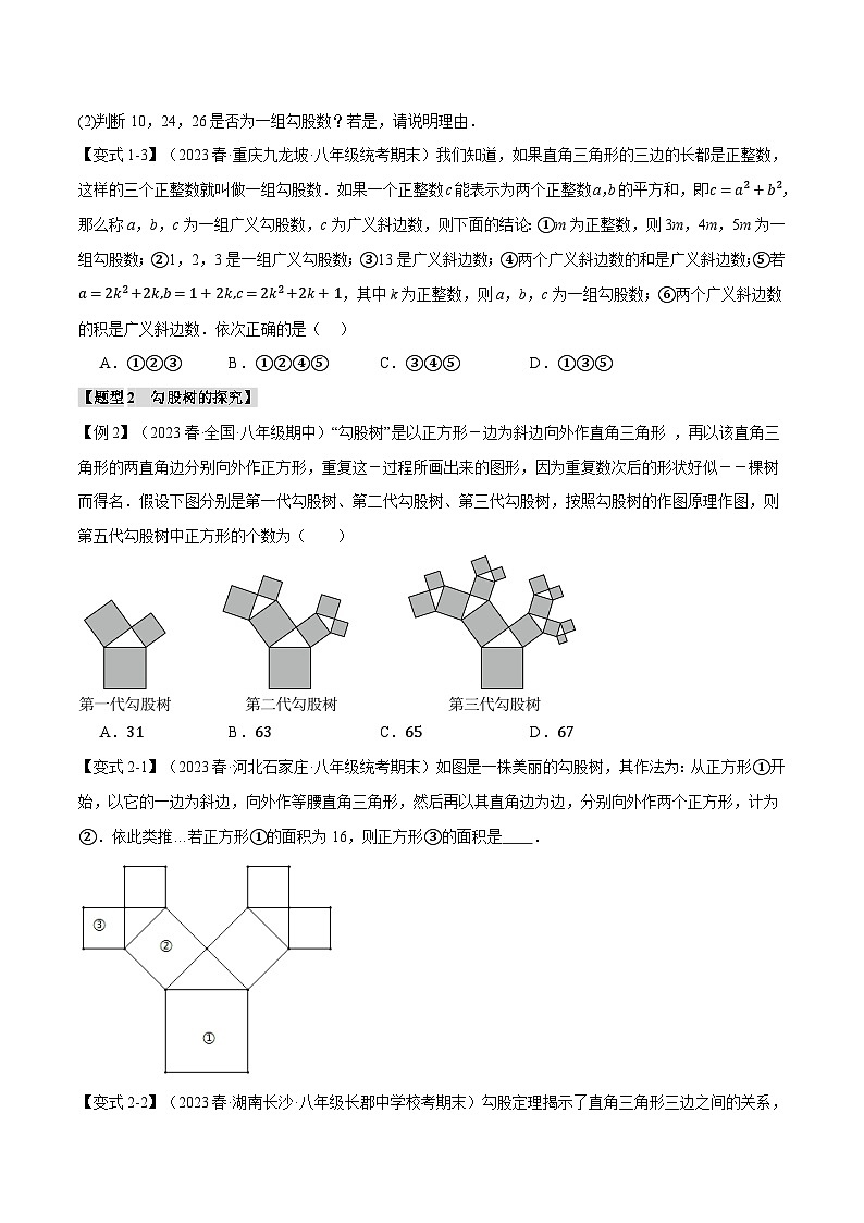 专题1.6 勾股定理章末八大题型总结（培优篇）-2024-2025学年八年级数学上册举一反三系列（北师大版）02